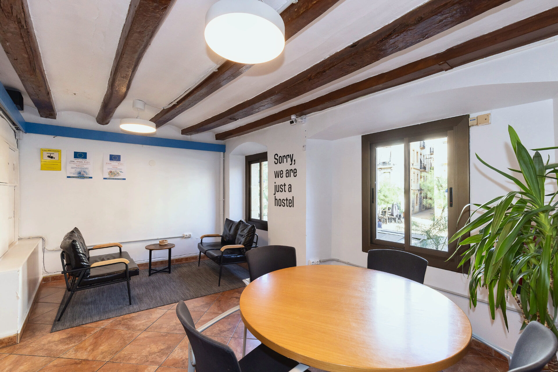 Sala común con planta grande junto a la ventana.
